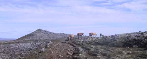 Sjónarhóll at Haukagilsheidi