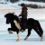 dec2011-237